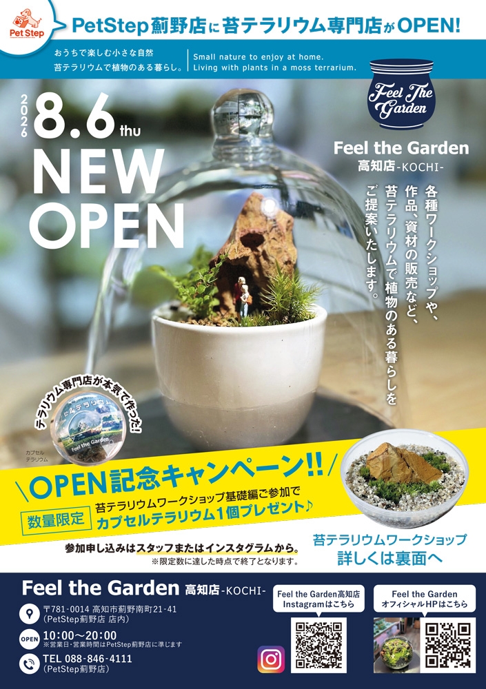 苔テラリウム専門店「Feel the Garden高知店」がオープン! 苔テラリウム専門店「Feel the Garden高知店」がオープン!