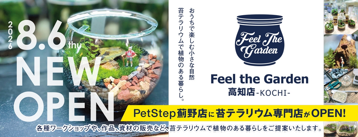 FeeltheGarden高知店へ FeeltheGarden高知店へ