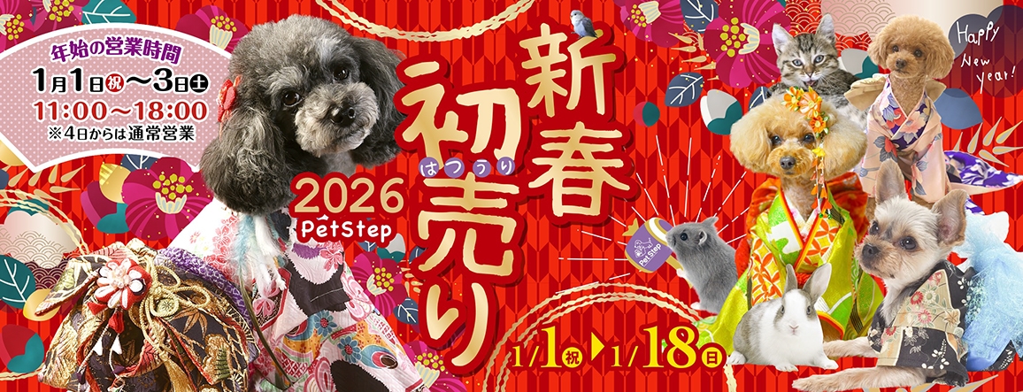 Happy New Year Fair Happy New Year Fair