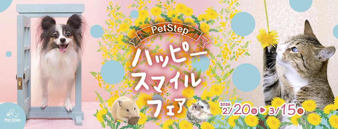 Happy Smile Fair Happy Smile Fair