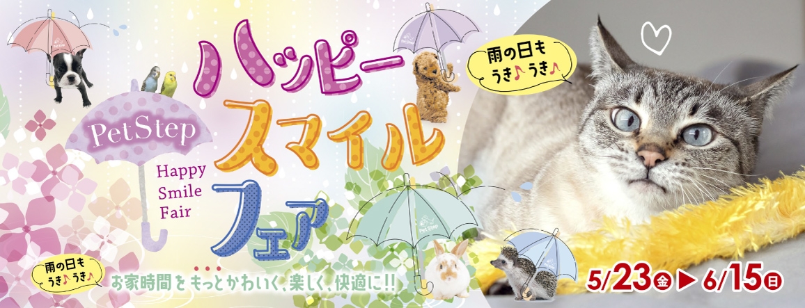 Happy Smile Fair