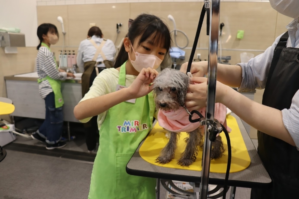 春休み職業体験イベント「PetStep WorkShop 未来トリマー」の様子 春休み職業体験イベント「PetStep WorkShop 未来トリマー」の様子