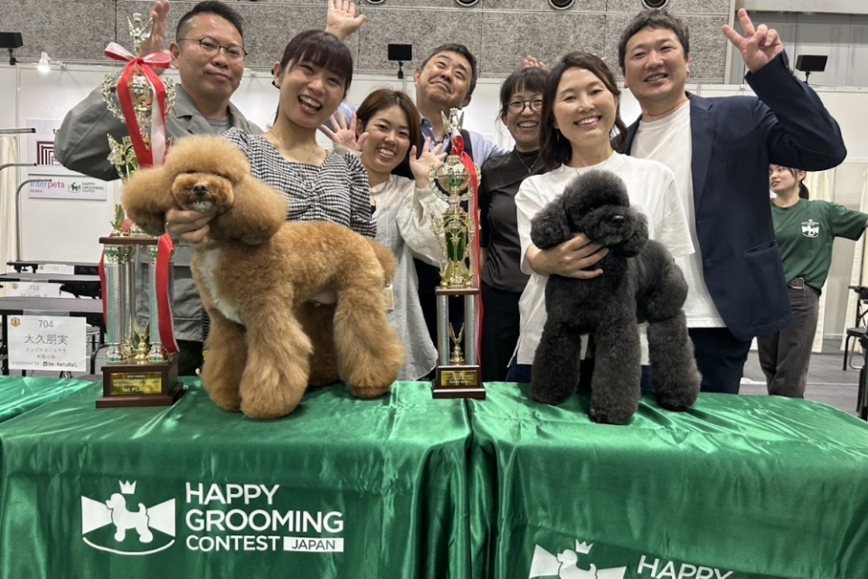 2025ハッピーグルーミングコンテストin大阪大会の様子 2025ハッピーグルーミングコンテストin大阪大会の様子