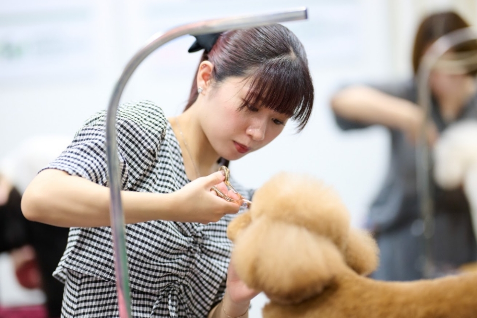 2025ハッピーグルーミングコンテストin大阪大会の様子 2025ハッピーグルーミングコンテストin大阪大会の様子