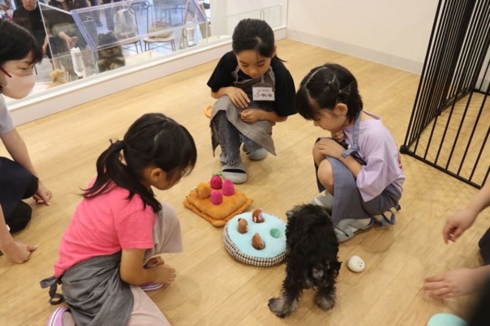 おしごと体験王国ジョブキッズえひめ2025でPetStepのおしごとを体験 おしごと体験王国ジョブキッズえひめ2025でPetStepのおしごとを体験