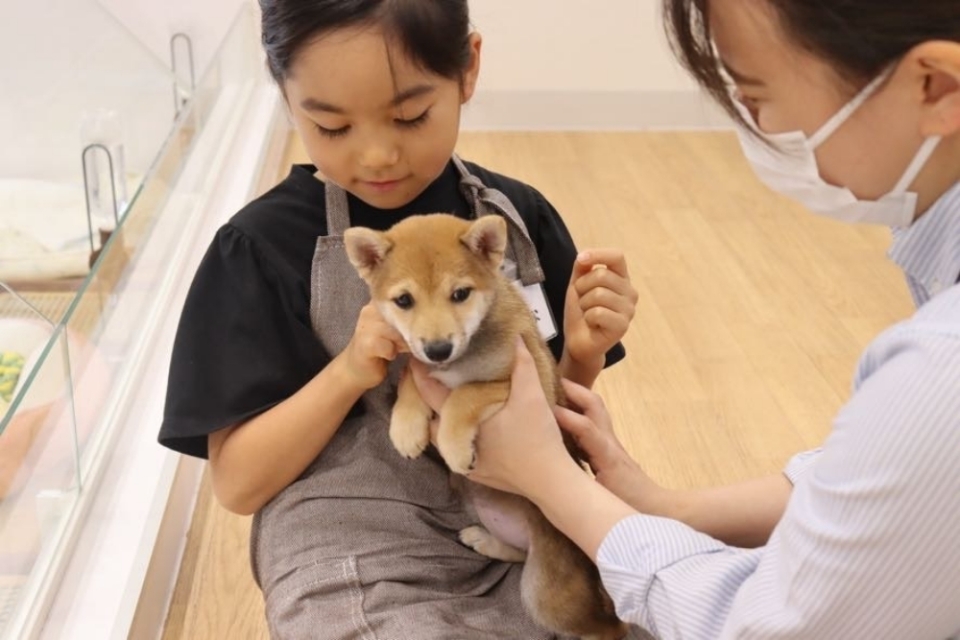 おしごと体験王国ジョブキッズえひめ2025でPetStepのおしごとを体験 おしごと体験王国ジョブキッズえひめ2025でPetStepのおしごとを体験