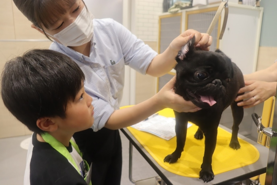 夏休み職業体験イベント「PetStep WorkShop 未来トリマー」の様子 夏休み職業体験イベント「PetStep WorkShop 未来トリマー」の様子
