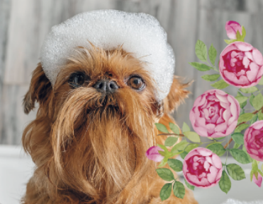 ローズシャンプー